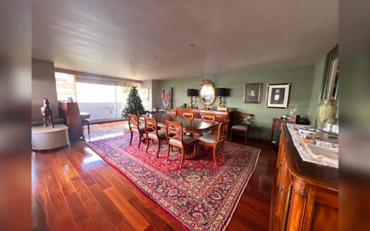 Departamento Horacio, Polanco