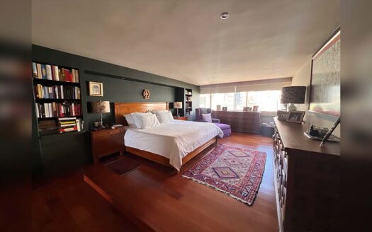 Departamento Horacio, Polanco