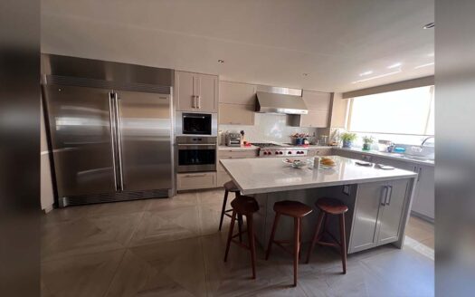 Departamento Horacio, Polanco