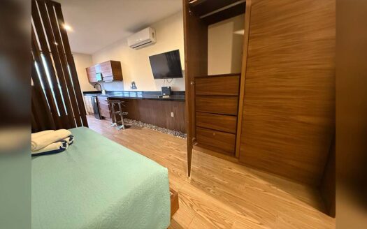 Departamento Polar Oriente y Orion Norte, Tulum Centro