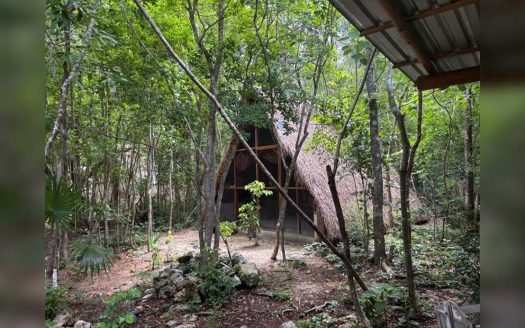 Terreno con Cenote, Tulum, Quintana Roo
